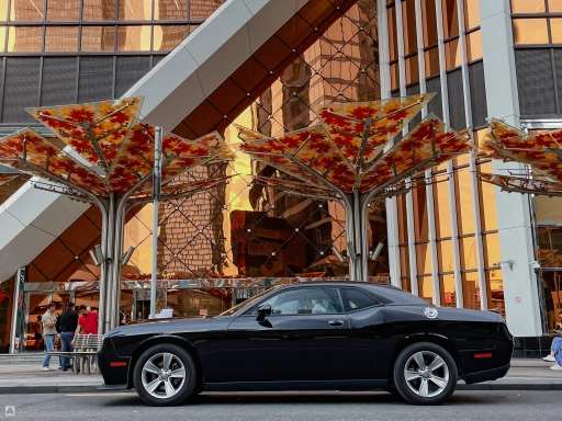 Dodge Challenger, фото-2