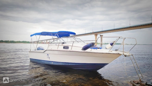 Прогулки по Волге на катере BAYLINER TROPHY, фото-1