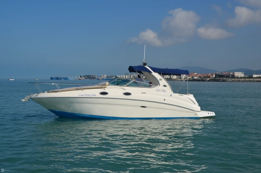 Катер Sea Ray 315, фото-1