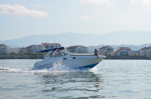 Катер Sea Ray 315