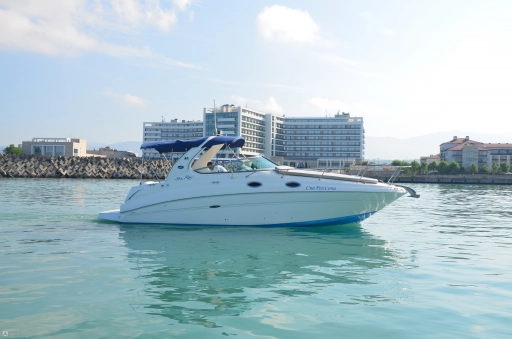 Катер Sea Ray 315, фото-2