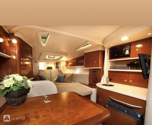 Sea Ray, фото-1