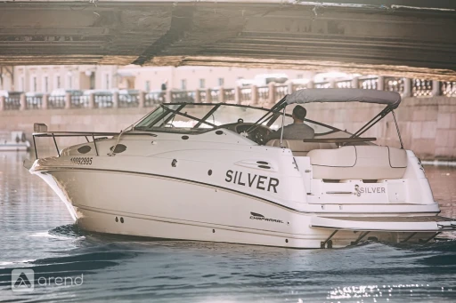 Силвер (Chaparral 240)