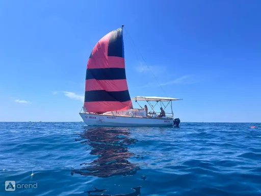 Саpella