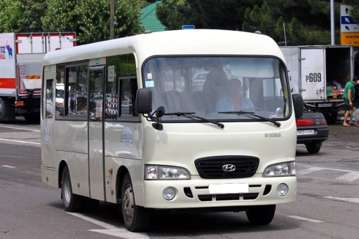 Hyundai County