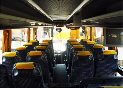 Сетра 309
