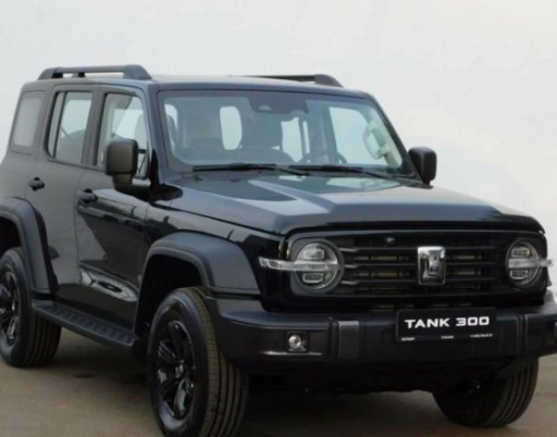 Tank 300