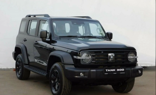Tank 300