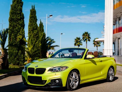 BMW 230i