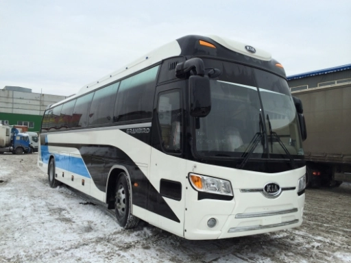 Kia Granbird