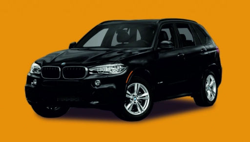 BMW X5M