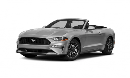 Ford Mustang Silver