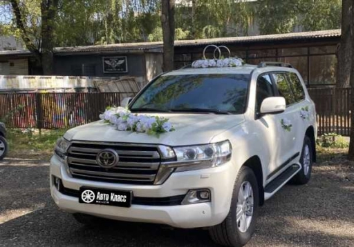 Land Cruiser Cruiser
