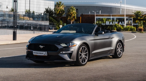 Ford Mustang Silver