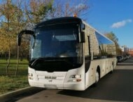 Man Lion Coach