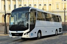 MAN Lion’s Coach